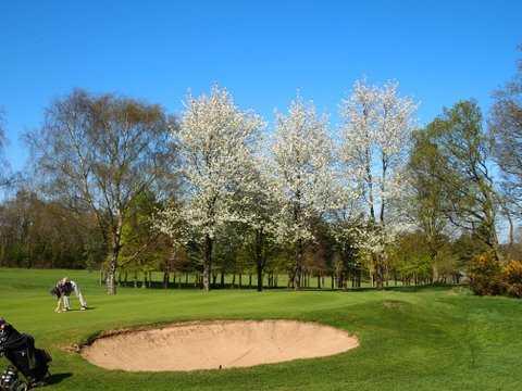 Henley Golf Club - photo 6