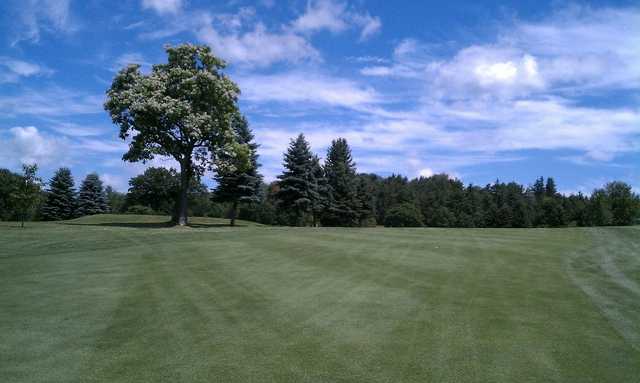 Punxsutawney Country Club - photo 3