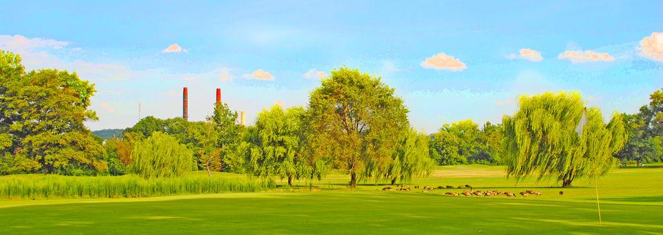Langston Golf Course - photo 4