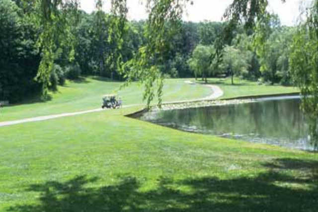 Springfield Oaks - photo 3