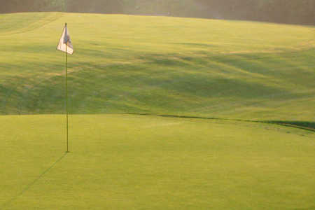 Green Oaks Country Club - photo 3