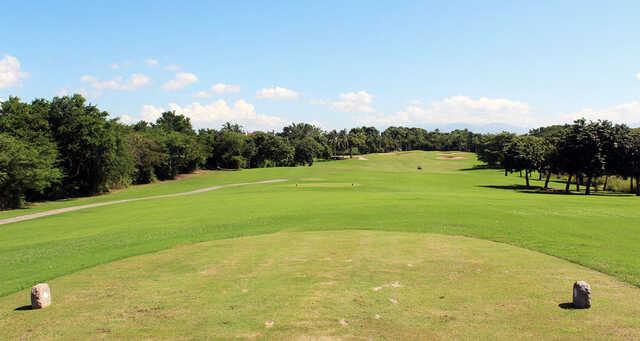 Flamingos Golf - photo 2