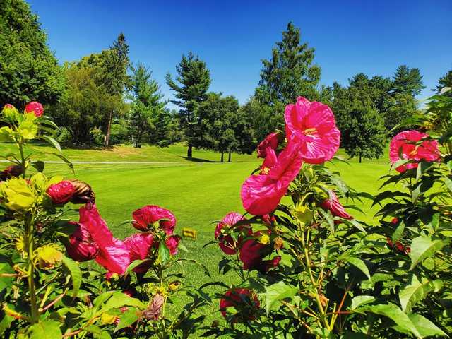 Maple Moor Golf Course - photo 2