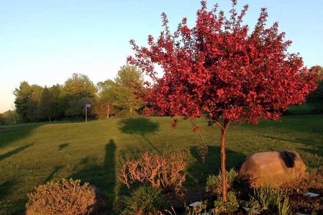 Elms Golf Club - photo 2