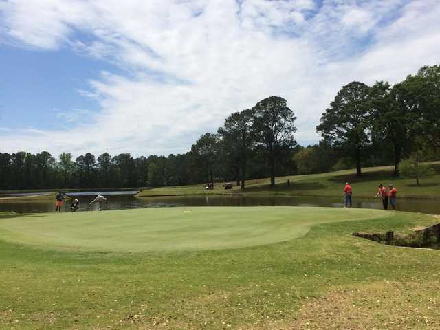 Eagle Springs Golf Course - photo 8
