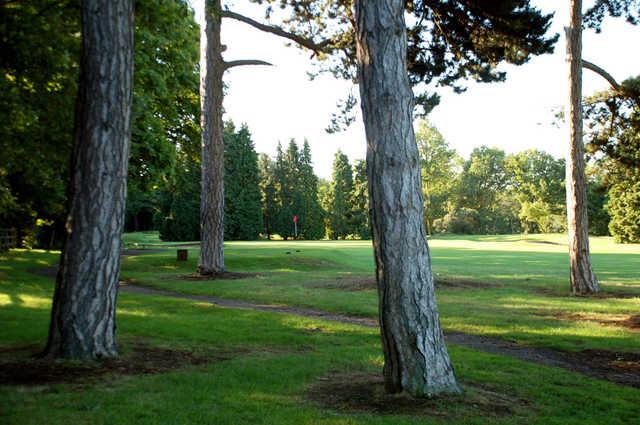 Coombe Wood Golf Club - photo 3
