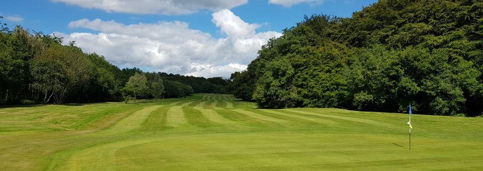 Ridgeway Golf Club - photo 4