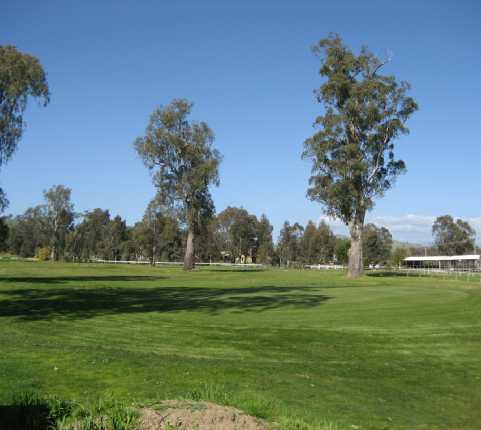 Alexandra Golf Club - photo 6