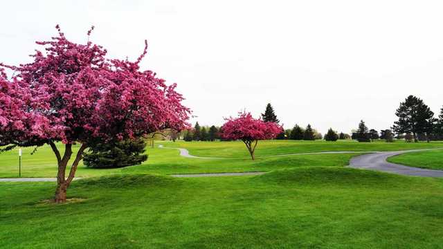 Ironwood - photo 3