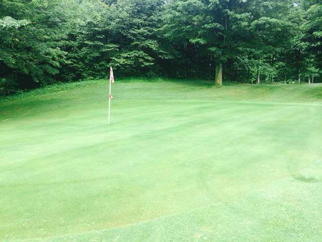 The Bellaire Centennial Golf Course - photo 3