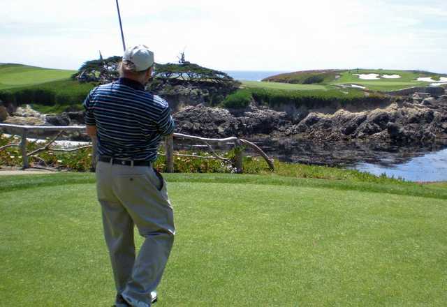 Palo Alto Municipal Golf Course - photo 2