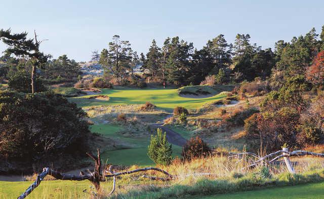 Bandon Dunes Golf Resort - Bandon Trails Course - photo 2