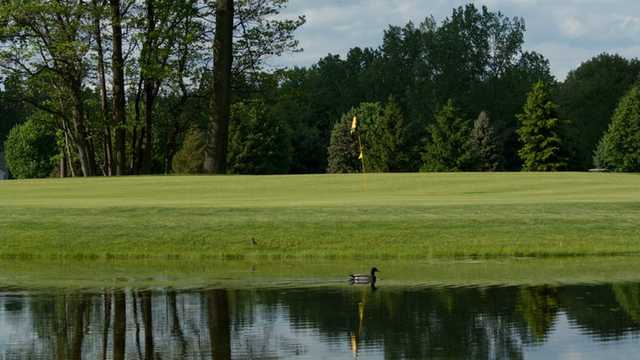 Bedford Hills Golf Club - photo 5