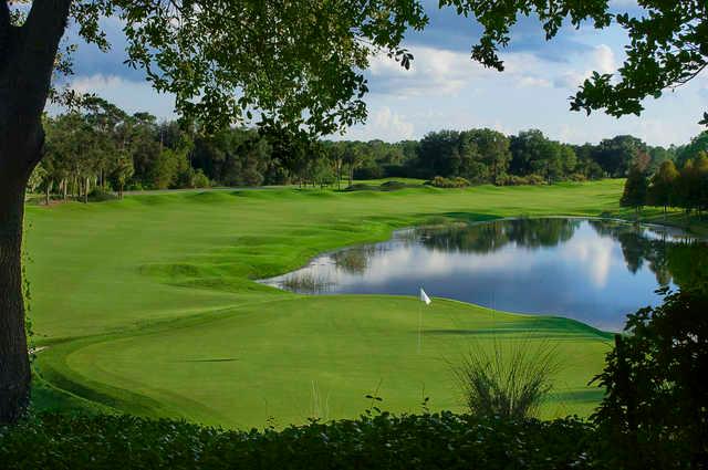 Grand Cypress North/South/East - photo 4