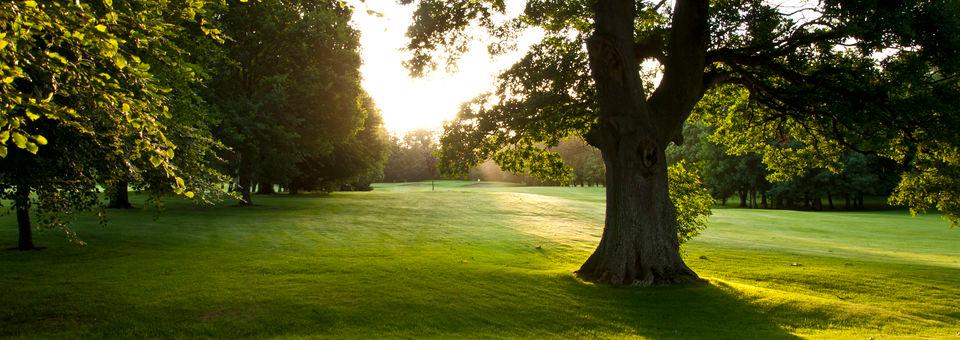 Portarlington Golf Club - photo 6