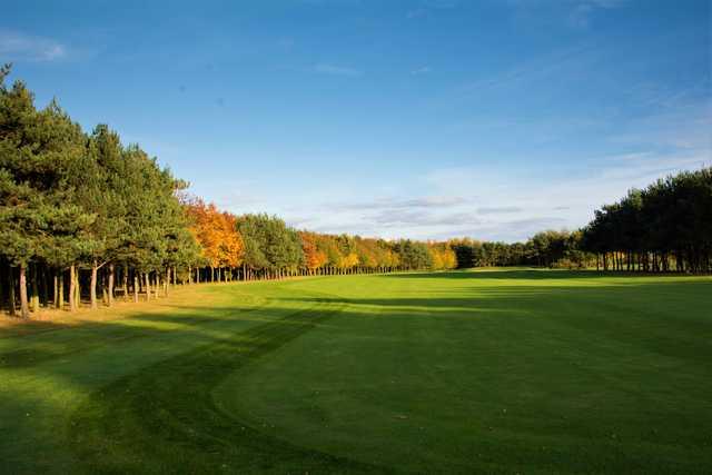 Newton Green Golf Club