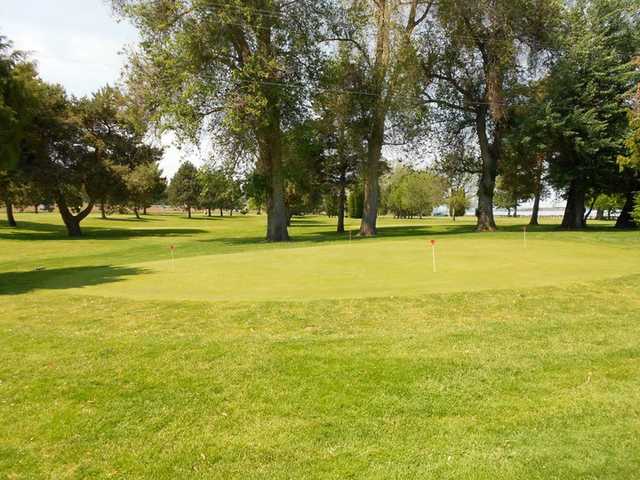 Columbia Park Golf Links & Driving Range - photo 4