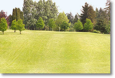 St. Helens Golf Course - photo 8