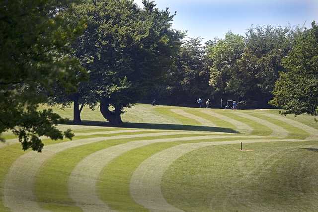 Bryn Meadows Golf Club - photo 2