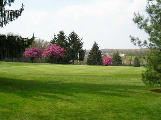 Conley Resort Golf Course - photo 5