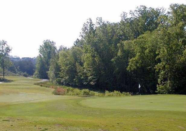 Tega Cay Golf Club - photo 2