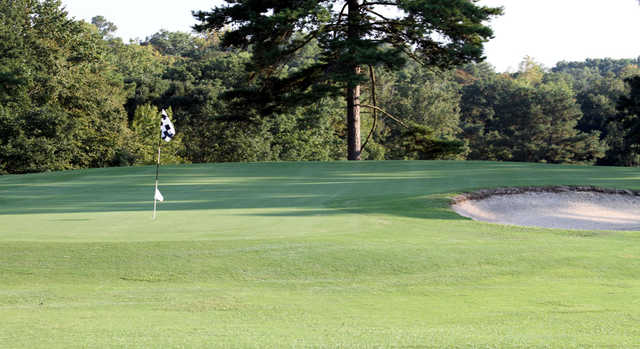 Pine Hills South - photo 2