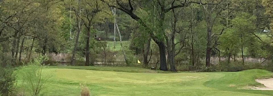 Leo J. Martin Memorial Golf Course - photo 5