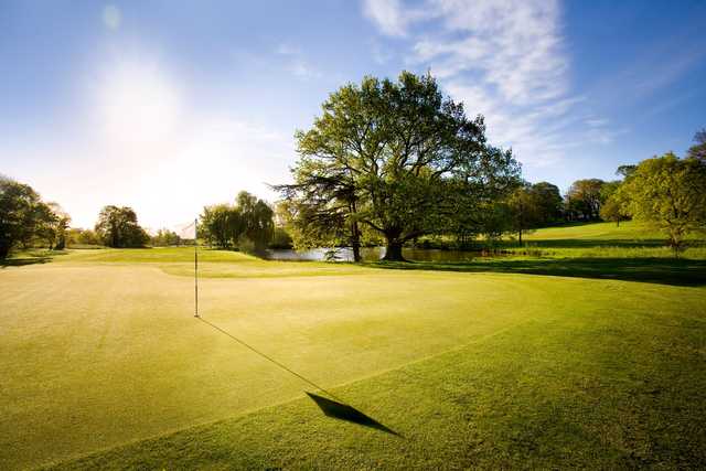 Norwood Park Golf Course - photo 2