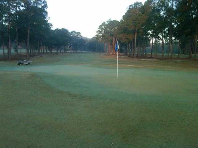 Panther Creek Country Club of Ozark - photo 4