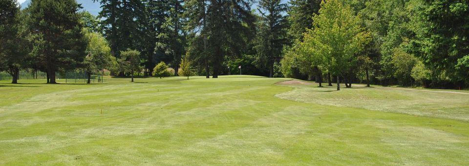 Sunnydale Golf & Country Club - photo 5