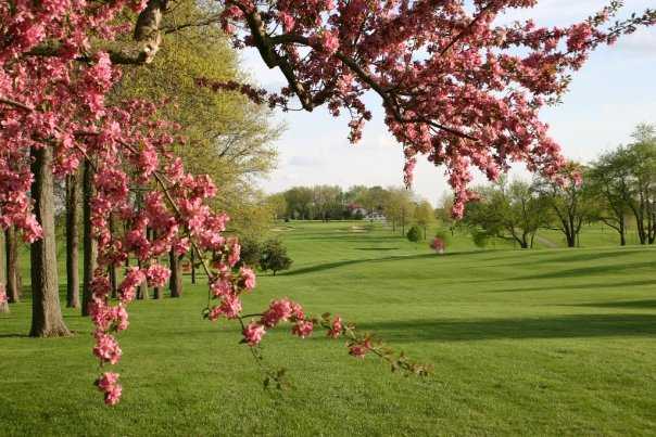 Park Hills Golf Course - photo 7