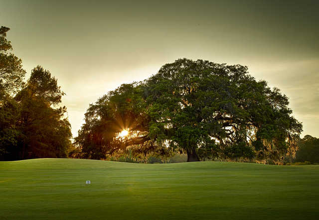 Old South Golf Links - photo 8