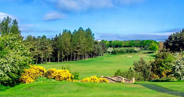 Hobson Golf Club - photo 3