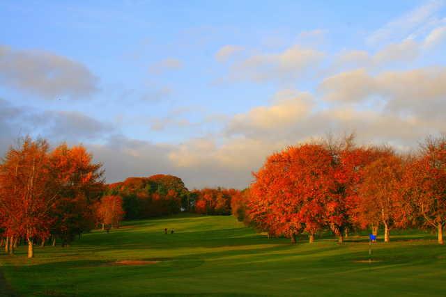 Carlow Golf Club - Deerpark