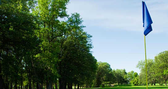 Orgill Golf Course - photo 5
