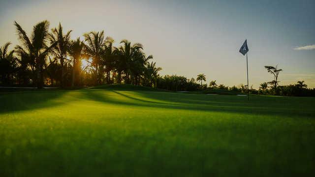 Jacksonville Beach Golf Course - photo 4