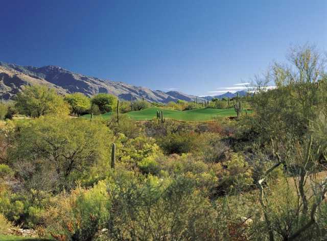 La Paloma Country Club - photo 6