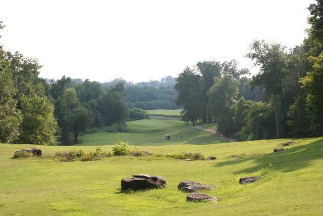 Arrowhead - photo 5
