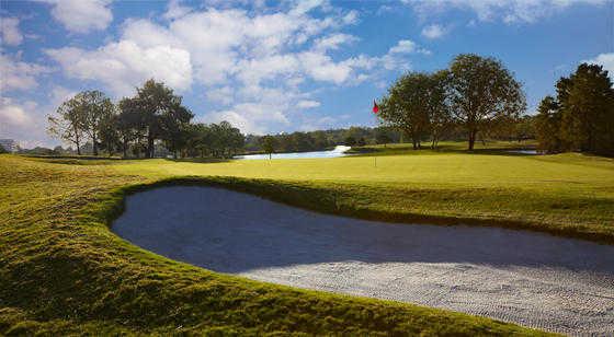 Las Colinas - photo 6