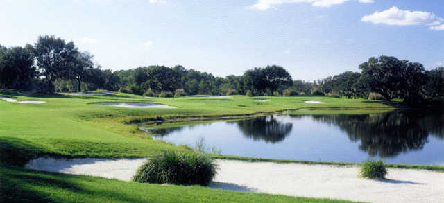 Bloomingdale Golfers Club (Tampico, FL) - photo 4