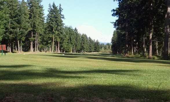 Lipoma Firs Golf Course - photo 2