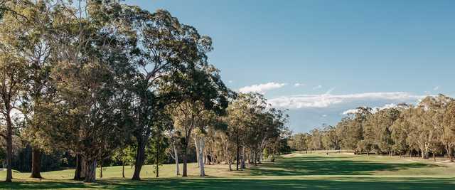 Noosa Golf Club