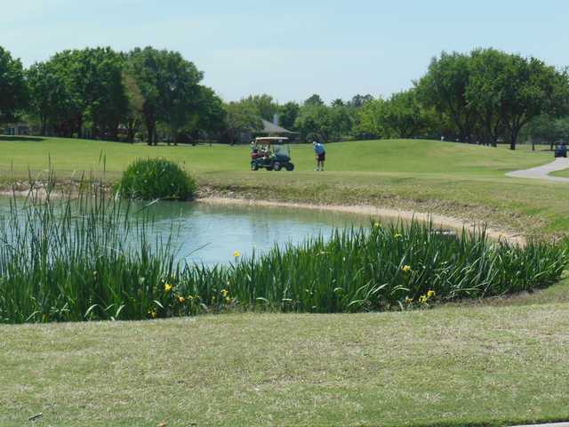 Willow Fork