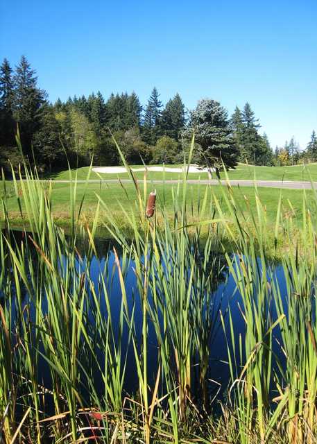 The Reserve Vineyards and Golf Club - South Course - photo 4