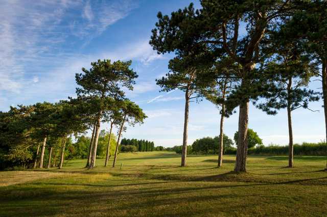 Bedford & County Golf Club - photo 2