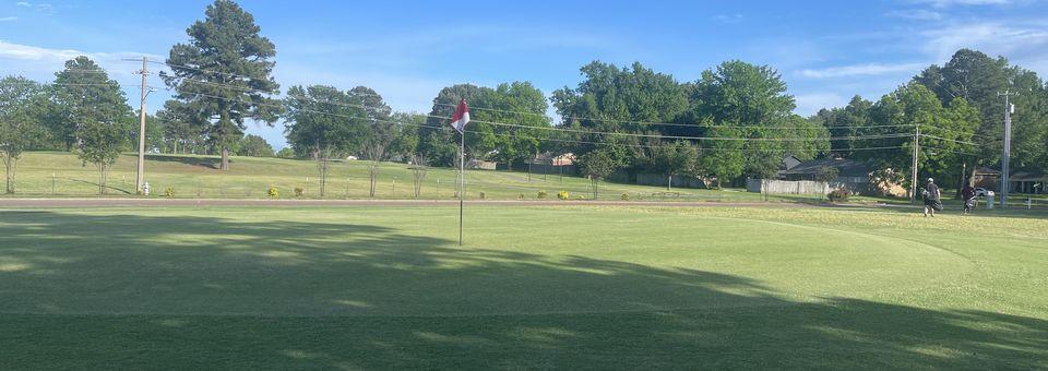 Southaven Golf Center - photo 4