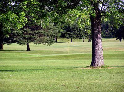 Bald Mountain Golf Course - photo 3