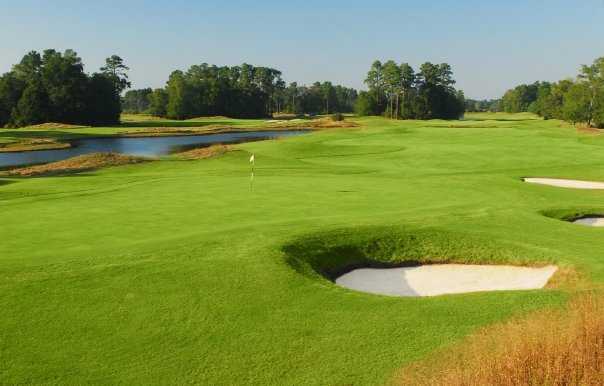 Wild Wing Plantation - Hummingbird Course - photo 3