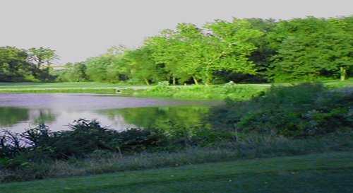 Eagle Springs Golf Course - photo 4