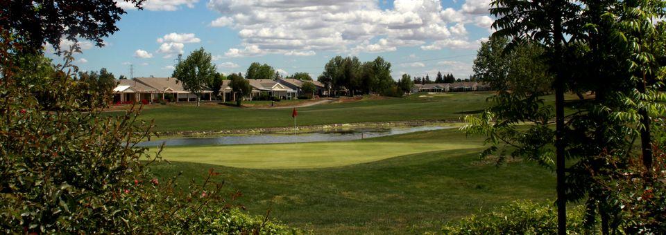 Brentwood Golf Club - photo 4